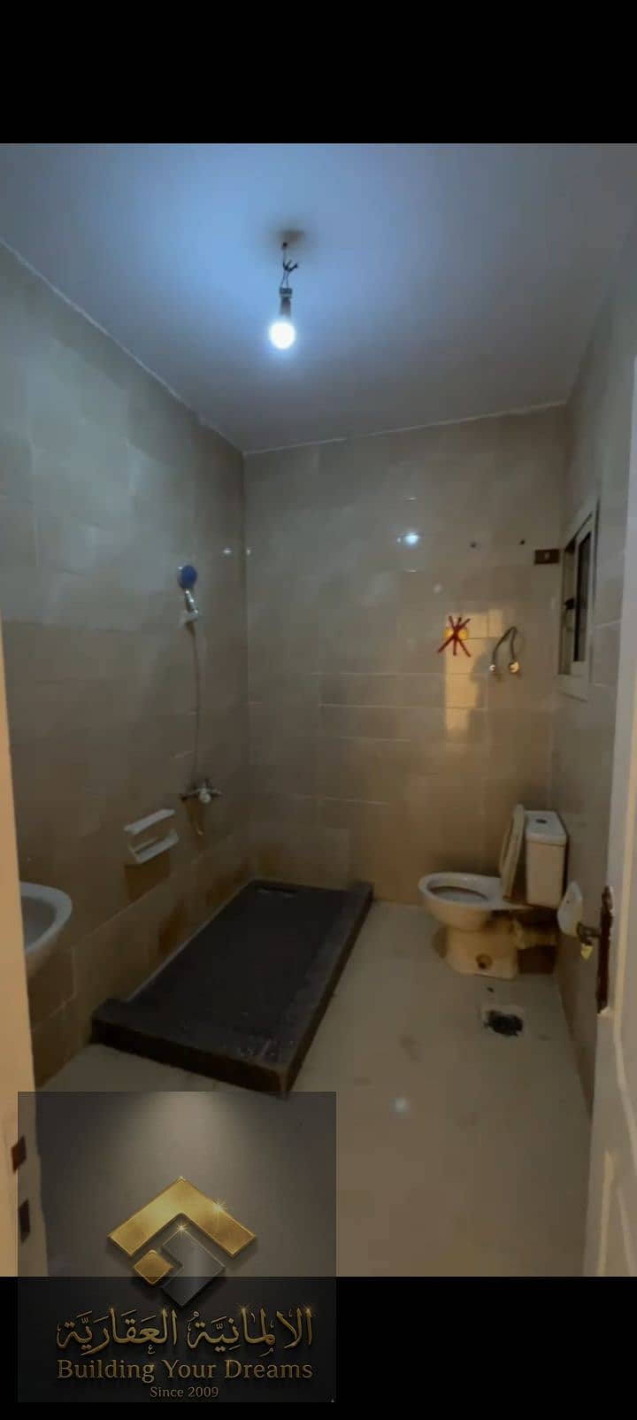 6 393097. jpg