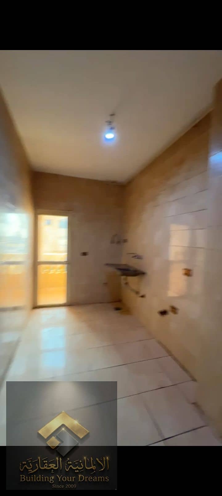 11 393087. jpg