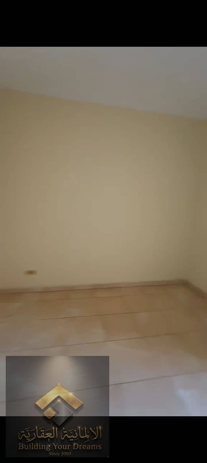 12 393089. jpg