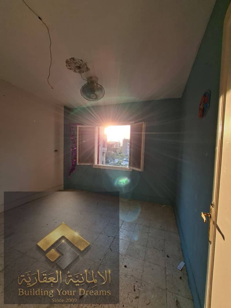 6 375025. jpg