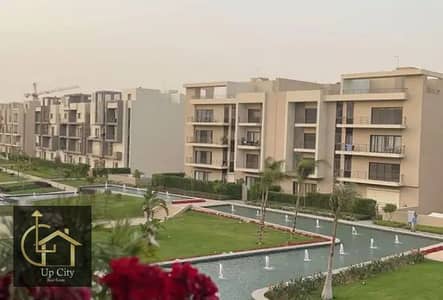 3 Bedroom Apartment for Rent in New Cairo, Cairo - 1000145346. webp