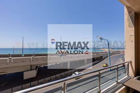 4 Bedroom Apartment for Sale in Sidi Beshr, Alexandria - 0. jpg 4 Bedroom Apartment for Sale in Sidi Beshr, Alexandria - 0. jpg