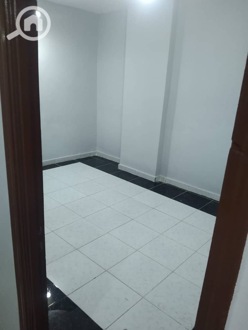 9 50243. jpg