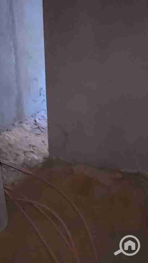 3 1000004889. jpg