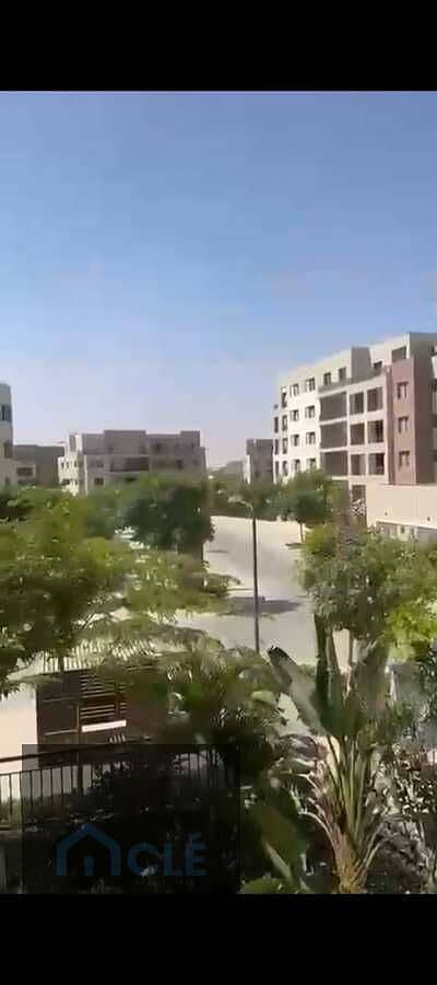 7 WhatsApp Image 2026-07-16 at 04.21. 28 (2). jpeg