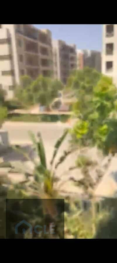 15 WhatsApp Image 2026-07-16 at 04.21. 27. jpeg
