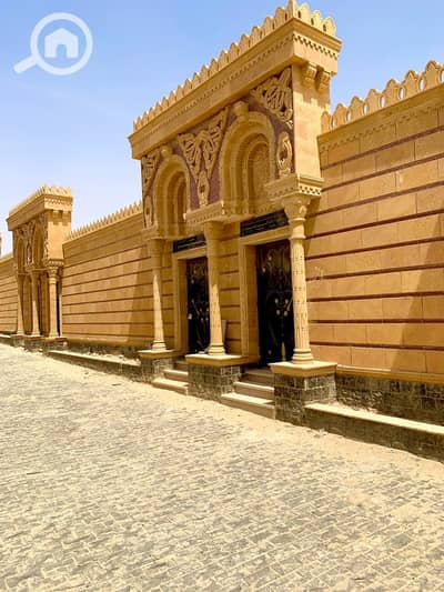 عقار سكني آخر 2 غرفة نوم للبيع في مدينة نصر، القاهرة - 1000270276. jpg عقار سكني آخر 2 غرفة نوم للبيع في مدينة نصر، القاهرة - 1000270276. jpg