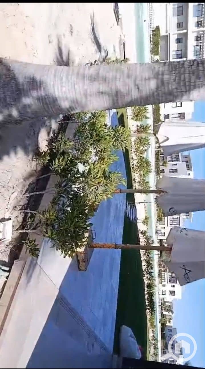 10 1000459958. jpg
