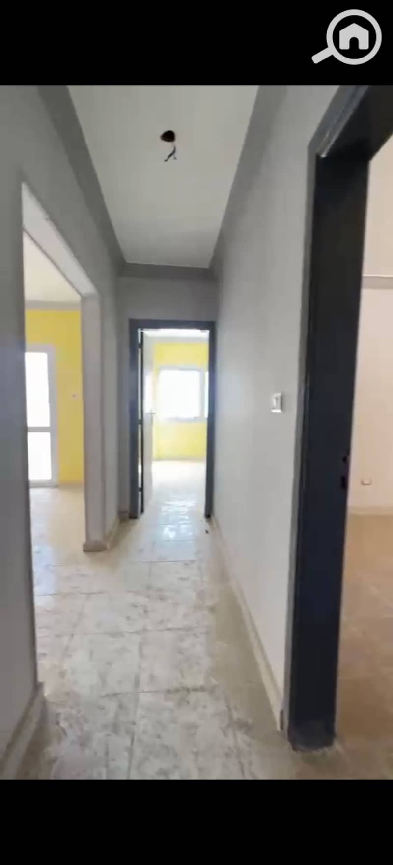 3 293435. jpg