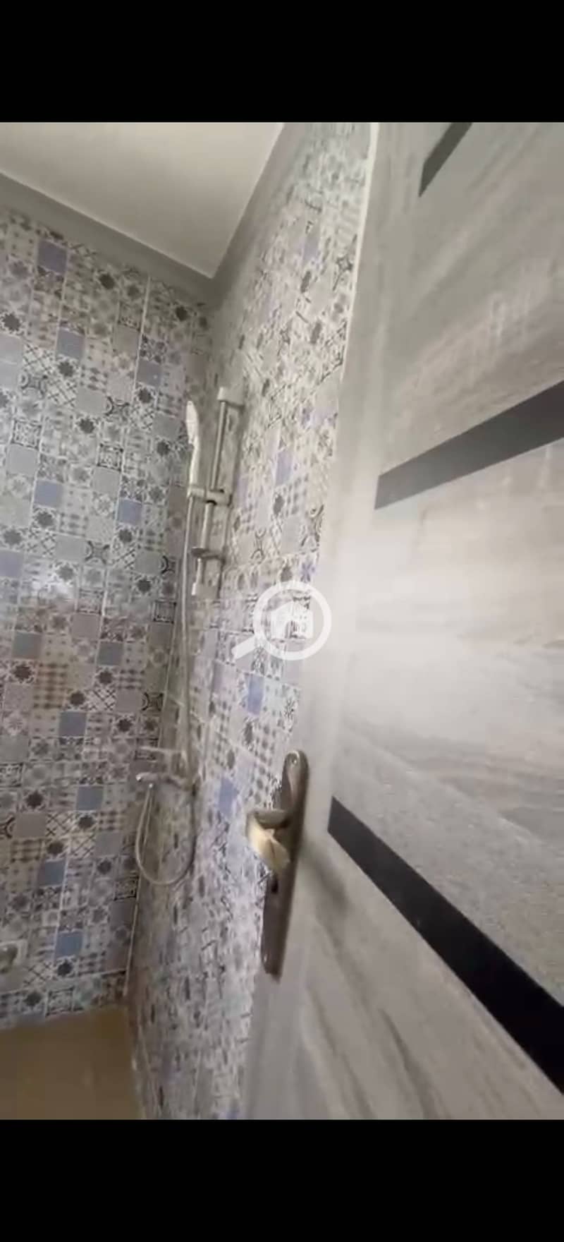 8 293431. jpg