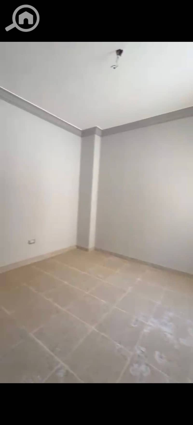 7 293429. jpg