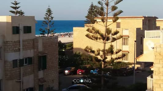 1 Green Beach 1 Green Beach