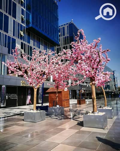 Office for Rent in Sheikh Zayed, Giza - WhatsApp Image 2025-10-22 at 12.32. 26 PM (2). jpeg