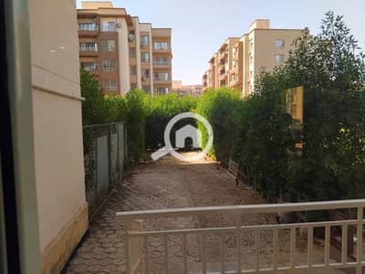 3 Bedroom Flat for Rent in Shorouk City, Cairo - 1001138587. jpg 3 Bedroom Flat for Rent in Shorouk City, Cairo - 1001138587. jpg