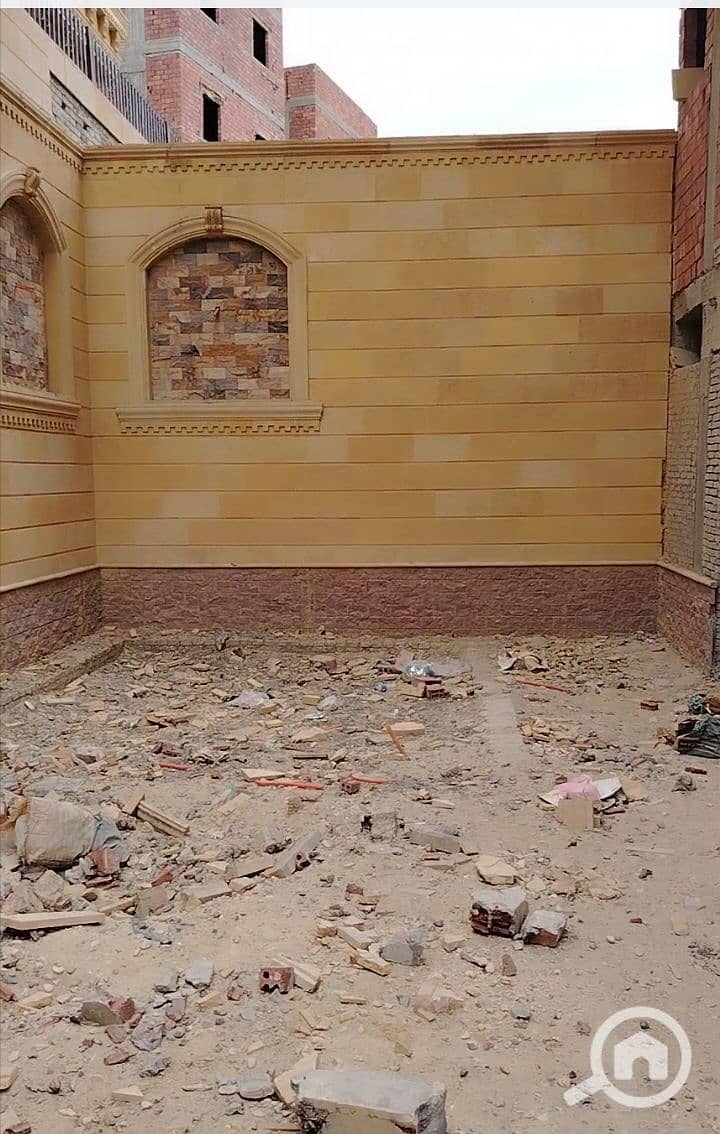 8 1000423841. jpg
