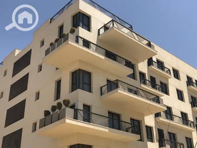 3 Bedroom Flat for Rent in New Cairo, Cairo - 1. jpeg 3 Bedroom Flat for Rent in New Cairo, Cairo - 1. jpeg