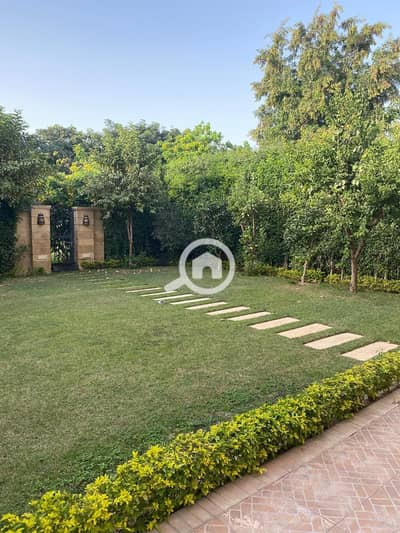 4 Bedroom Villa for Rent in Madinaty, Cairo - 1000637525. jpg