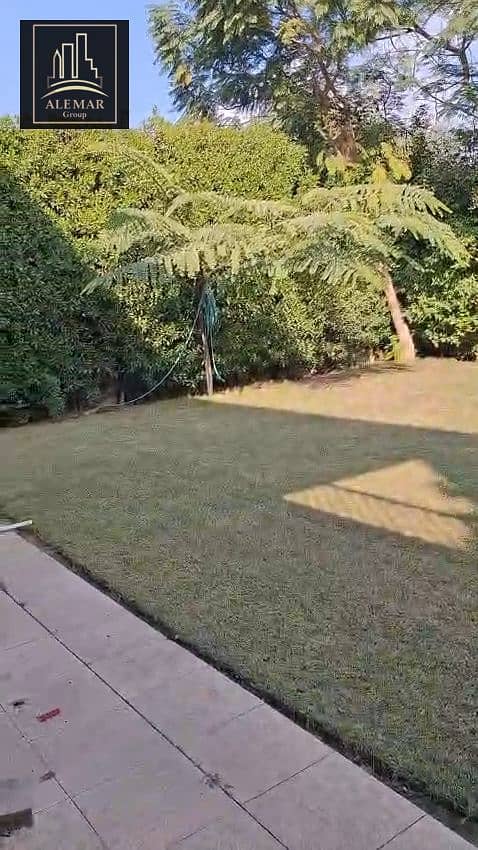8 1000595496. jpg