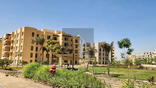 فلیٹ 2 غرفة نوم للايجار في 6 اكتوبر، الجيزة - IMG_2846. webp
