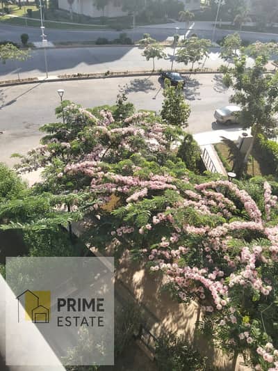 3 Bedroom Apartment for Sale in Madinaty, Cairo - WhatsApp Image 2026-07-16 at 6.18. 14 PM (1). jpeg 3 Bedroom Apartment for Sale in Madinaty, Cairo - WhatsApp Image 2026-07-16 at 6.18. 14 PM (1). jpeg