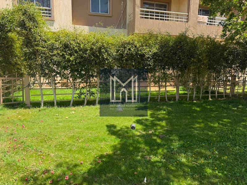 4 1001294654. jpg