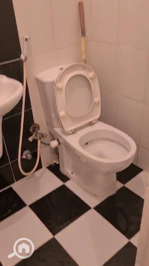 3 1000087355. jpg