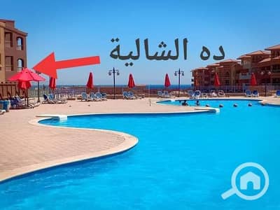 شاليه 1 غرفة نوم للايجار في العين السخنة، السويس - 1000034006. jpg شاليه 1 غرفة نوم للايجار في العين السخنة، السويس - 1000034006. jpg