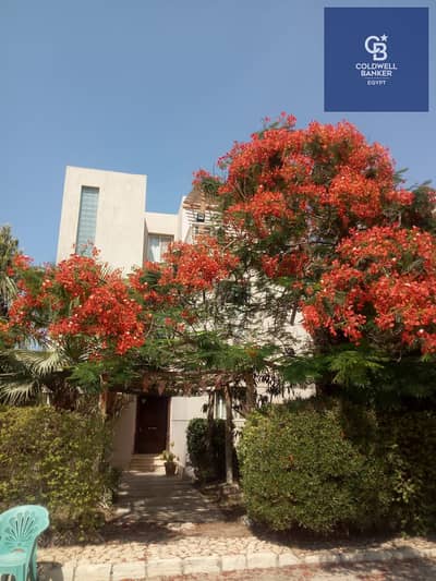 4 Bedroom Villa for Sale in Mansuriyya, Giza - WhatsApp Image 2026-06-15 at 6.34. 25 PM (2). jpeg 4 Bedroom Villa for Sale in Mansuriyya, Giza - WhatsApp Image 2026-06-15 at 6.34. 25 PM (2). jpeg