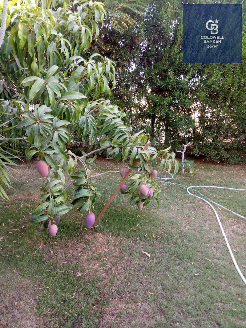 7 WhatsApp Image 2026-06-15 at 6.34. 25 PM. jpeg