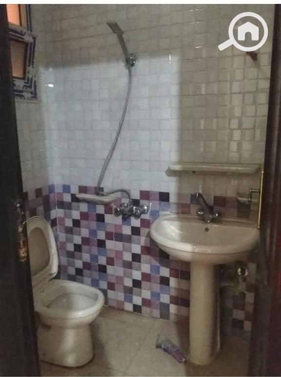 3 393834. jpg