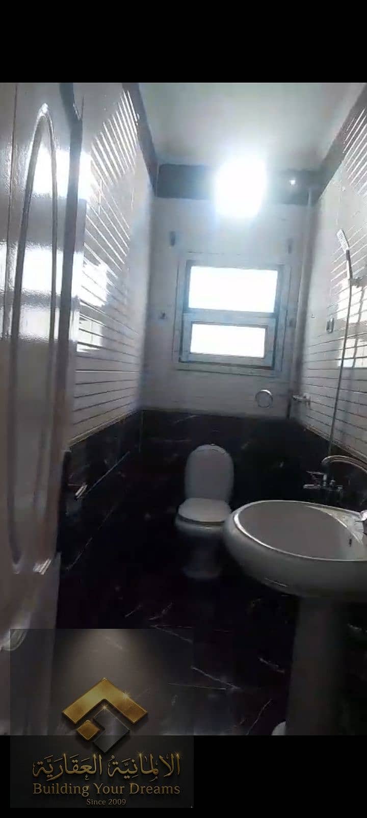 6 394393. jpg