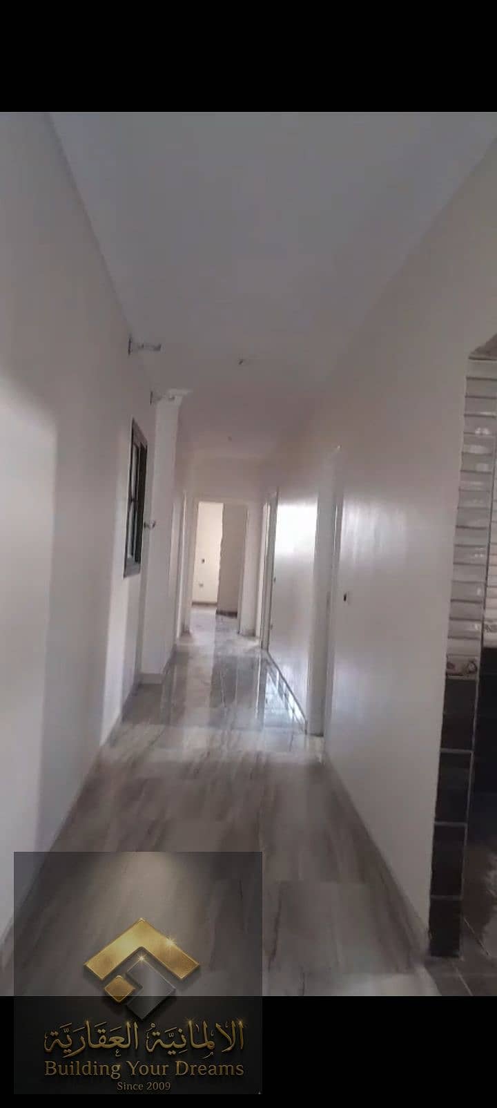 8 394392. jpg