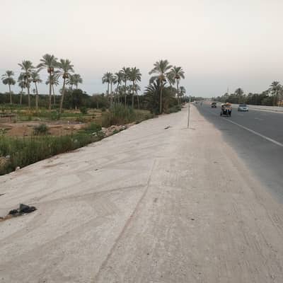 Other Commercial for Sale in Fayed, Ismailia - فدان فى نفيشة على الطريق مباشر وجه 80 متر Other Commercial for Sale in Fayed, Ismailia - فدان فى نفيشة على الطريق مباشر وجه 80 متر