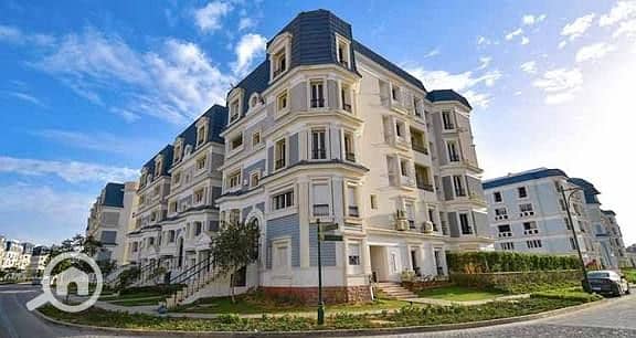 11 images (3). jpg