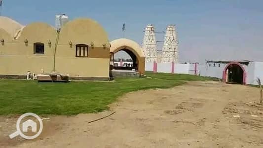 أرض زراعية للبيع في الفيوم الجديدة، الفيوم - 1000064623. jpg أرض زراعية للبيع في الفيوم الجديدة، الفيوم - 1000064623. jpg