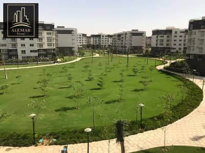 فلیٹ 3 غرف نوم للبيع في مدينتي، القاهرة - 1000187307. jpg فلیٹ 3 غرف نوم للبيع في مدينتي، القاهرة - 1000187307. jpg