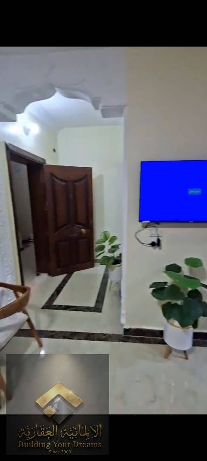 7 395265. jpg