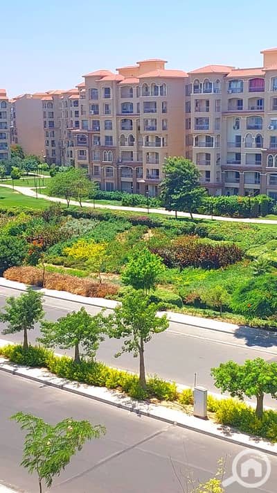 3 Bedroom Apartment for Rent in Madinaty, Cairo - 1000269580. jpg 3 Bedroom Apartment for Rent in Madinaty, Cairo - 1000269580. jpg