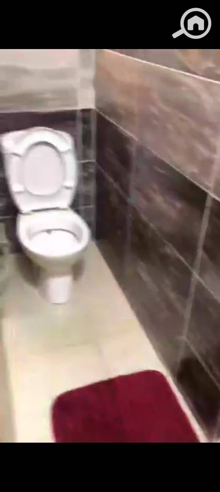 12 1000387818. jpg