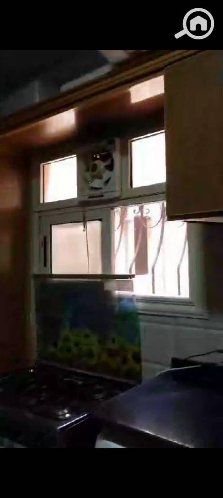 42 1000387787. jpg
