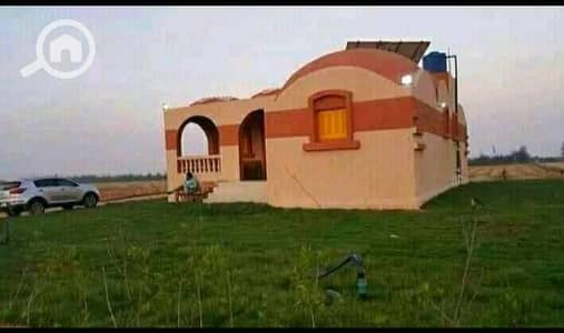 أرض زراعية للبيع في الفيوم الجديدة، الفيوم - 1000067339. jpg أرض زراعية للبيع في الفيوم الجديدة، الفيوم - 1000067339. jpg