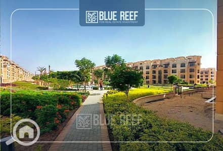 3 Bedroom Flat for Sale in Katameya, Cairo - tyhtyhyh. jpg 3 Bedroom Flat for Sale in Katameya, Cairo - tyhtyhyh. jpg