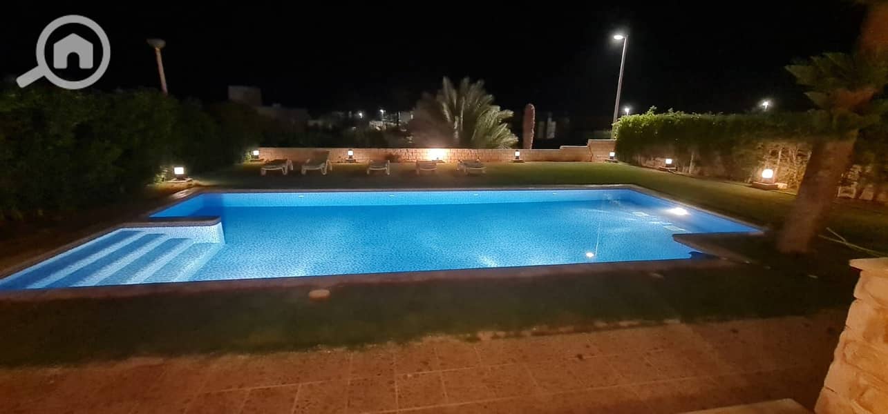14 1000163449. jpg