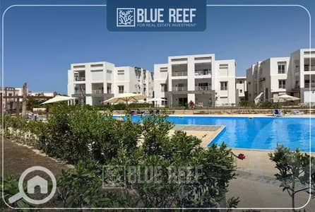2 Bedroom Chalet for Sale in North Coast, Matruh - --7. jpg 2 Bedroom Chalet for Sale in North Coast, Matruh - --7. jpg