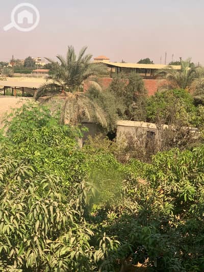 8 Bedroom Villa for Sale in Obour City, Cairo - 5. jpeg
