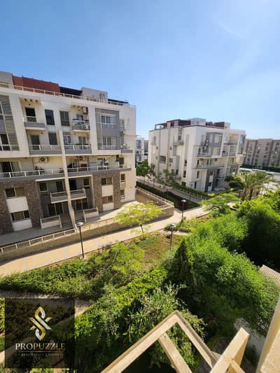 3 Bedroom Flat for Rent in New Cairo, Cairo - 81dbe4b5-81aa-4b86-9b61-36e3ac413f45. jpg 3 Bedroom Flat for Rent in New Cairo, Cairo - 81dbe4b5-81aa-4b86-9b61-36e3ac413f45. jpg