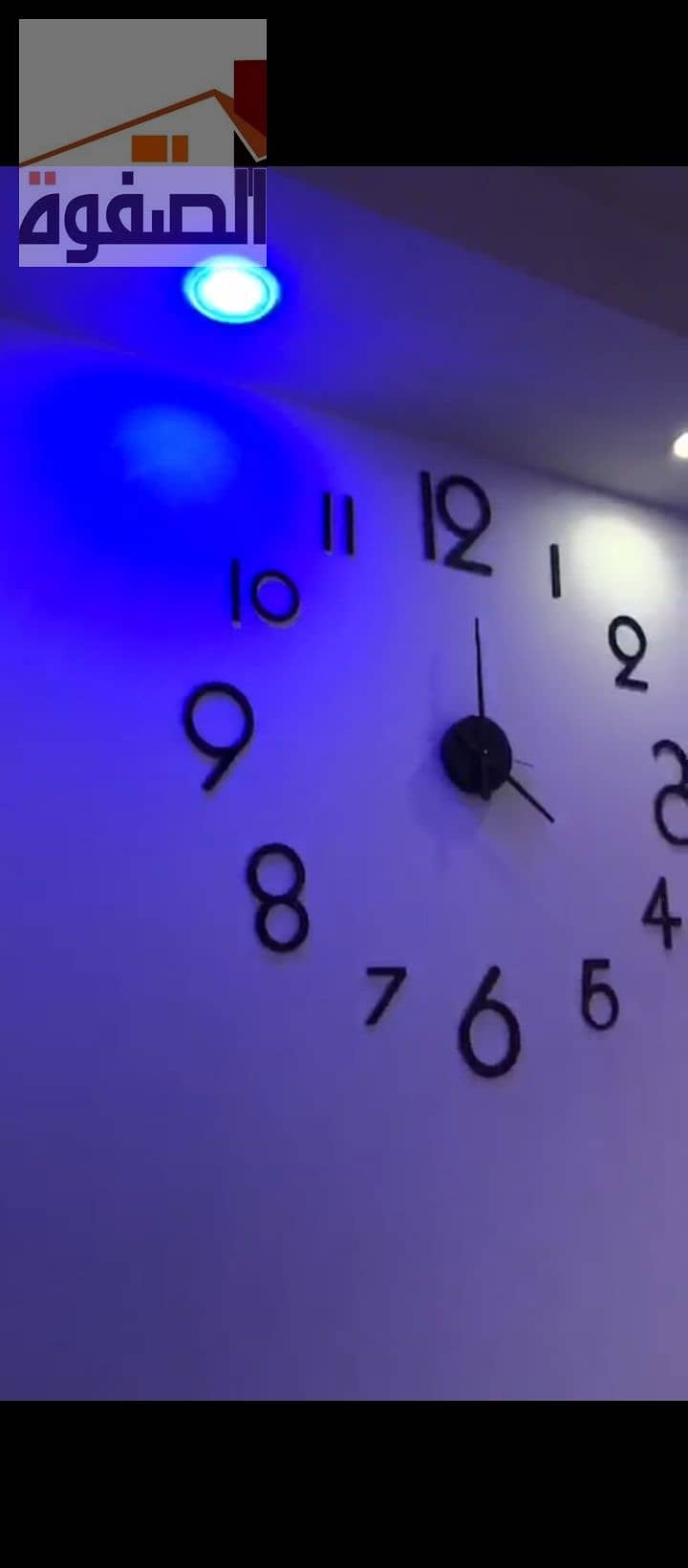 3 1000235575. jpg