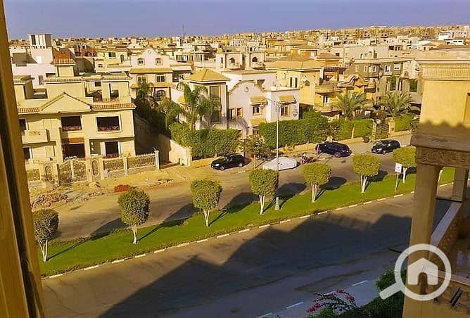 5 الحي-الثامن-الشيخ-زايد. jpg