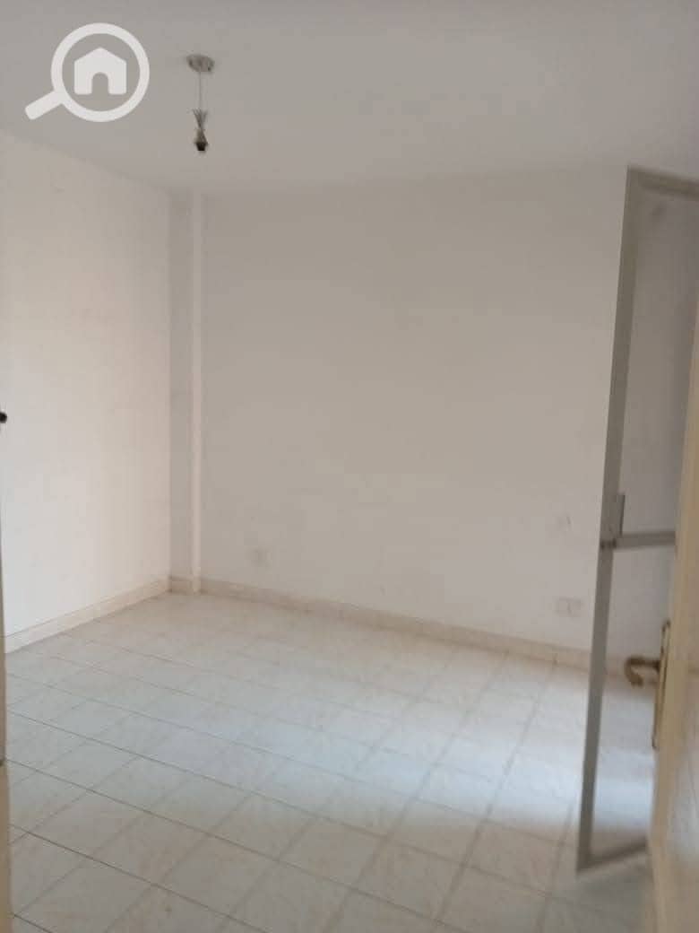 3 563866. jpg
