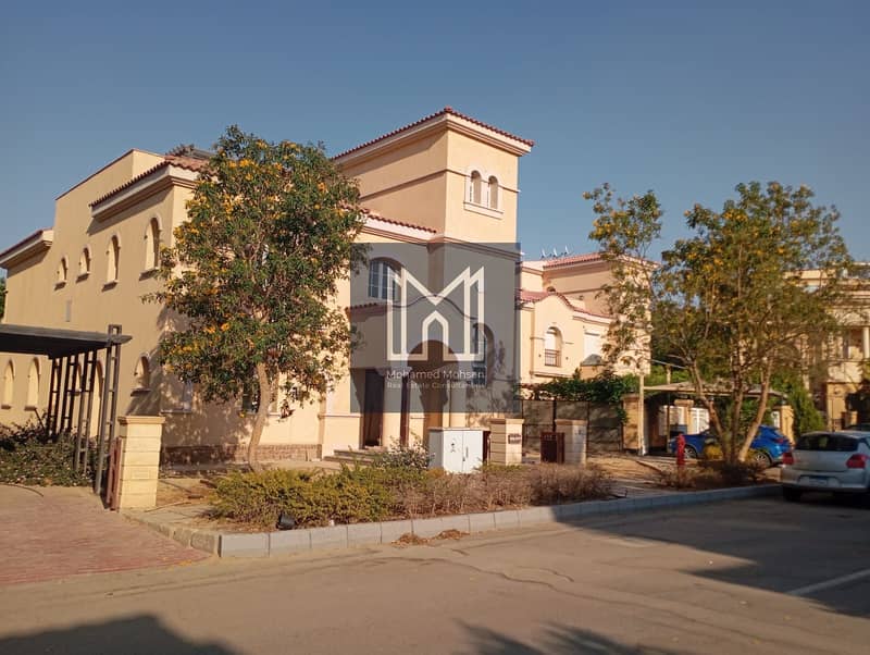 6 31865. jpg
